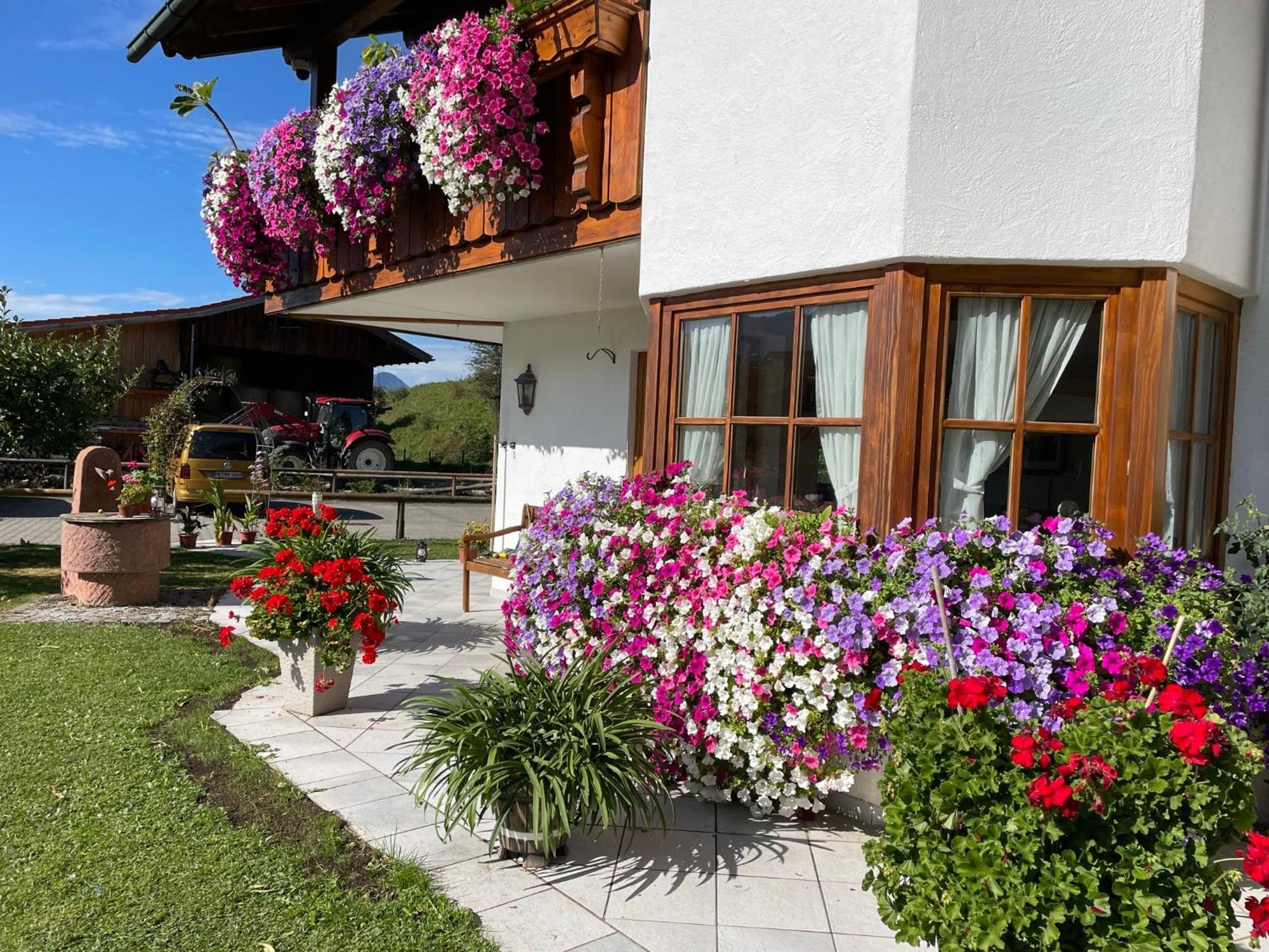Gaestehaus Seeklause Schwangau Ngoại thất bức ảnh